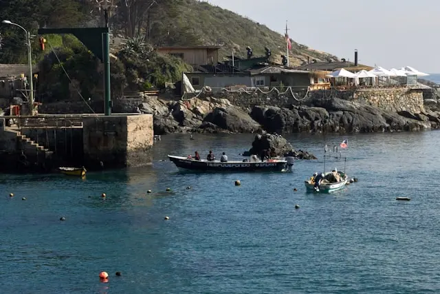 puerto con varios botes de pesca