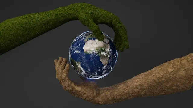 politicas de sustentabilidad